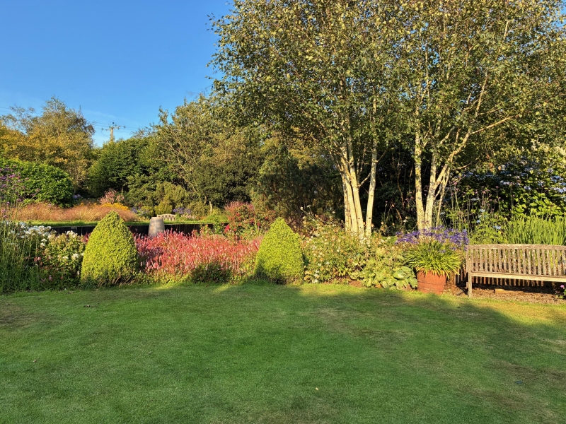 Donegore Hill Garden image