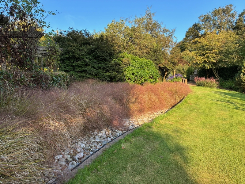 Donegore Hill Garden