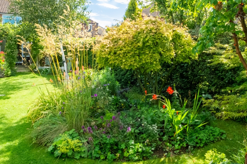 86 Melville Road image