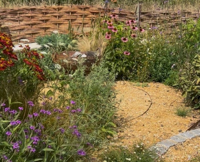 The Blooming Wild Plant Nursery