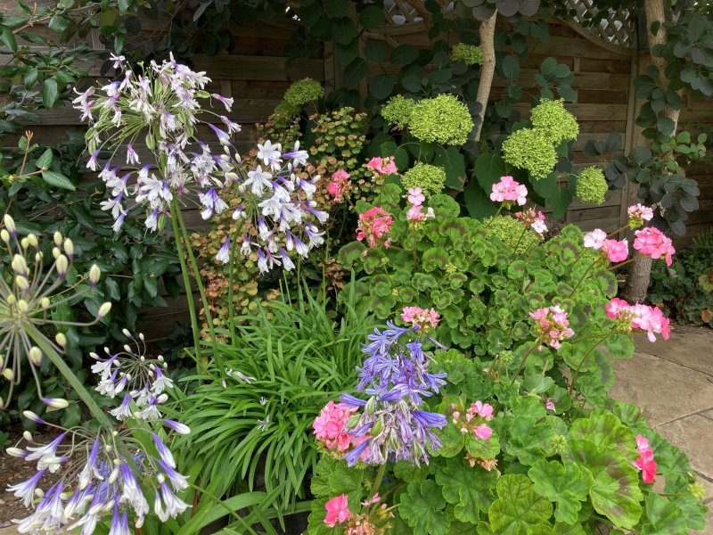 5 Far Sandfield image