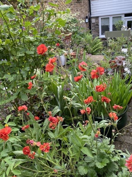 5 Thornhill Grove image