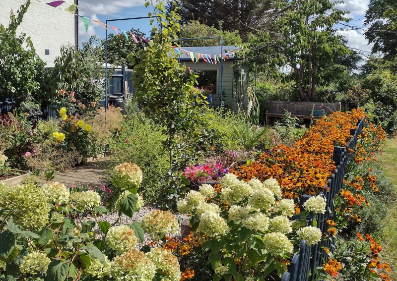 Chitts Hill Allotment & Garden Society