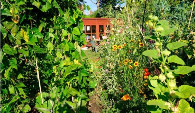 Adelaide Community Garden Club