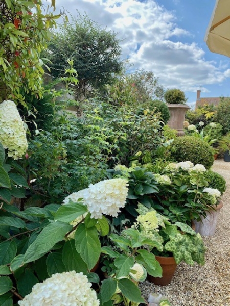 Shadrack Dairy Farm image