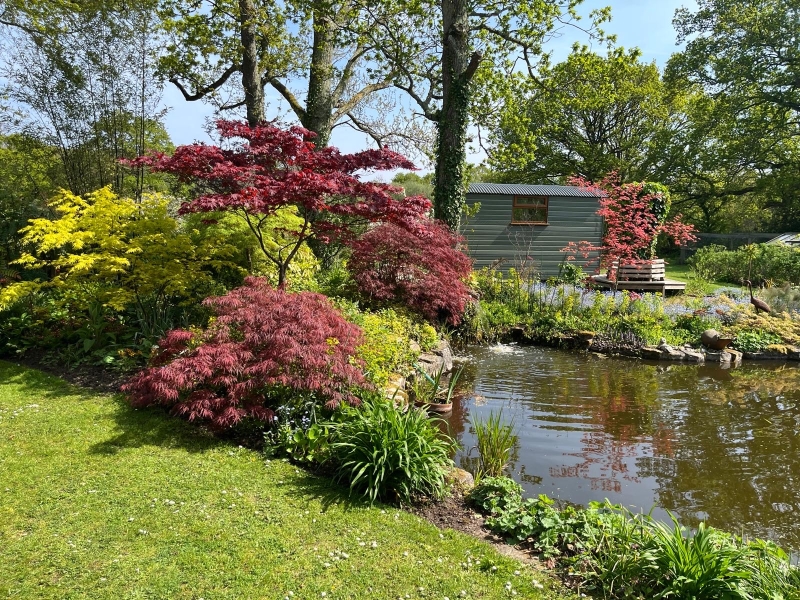 Whitemoor Farm image