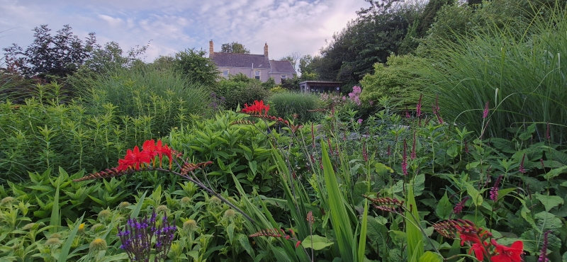Yew Tree Cottage image