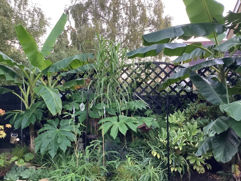 46 Belmont Road image