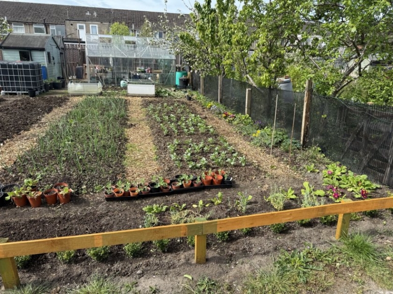 Shepherd Road Allotments