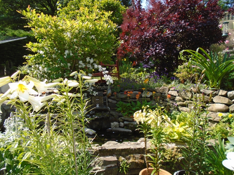 Beckside Bungalow image