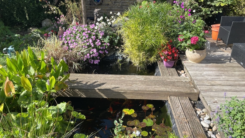 Pegwell & West Cliff Gardens