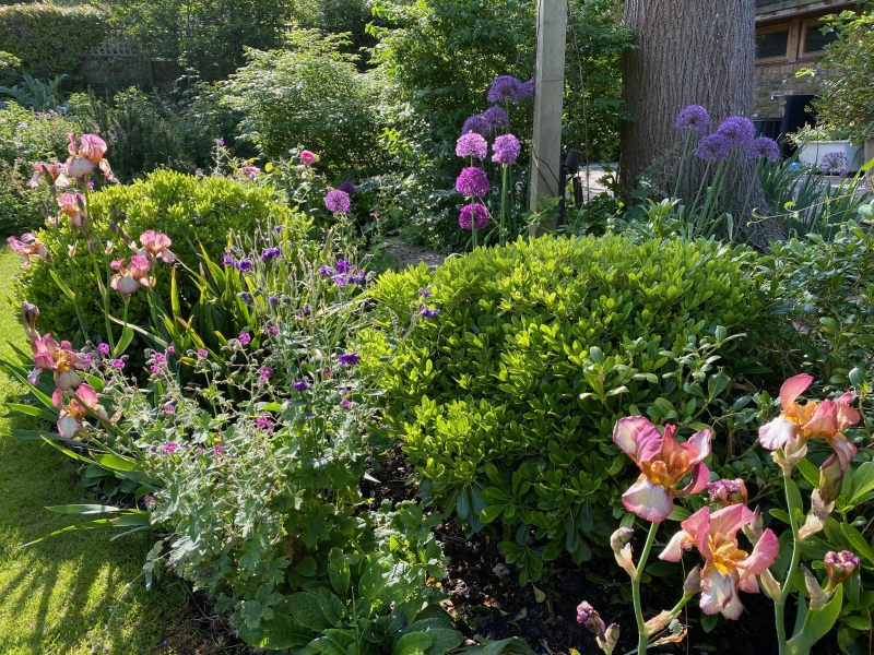 32 Highbury Hill image