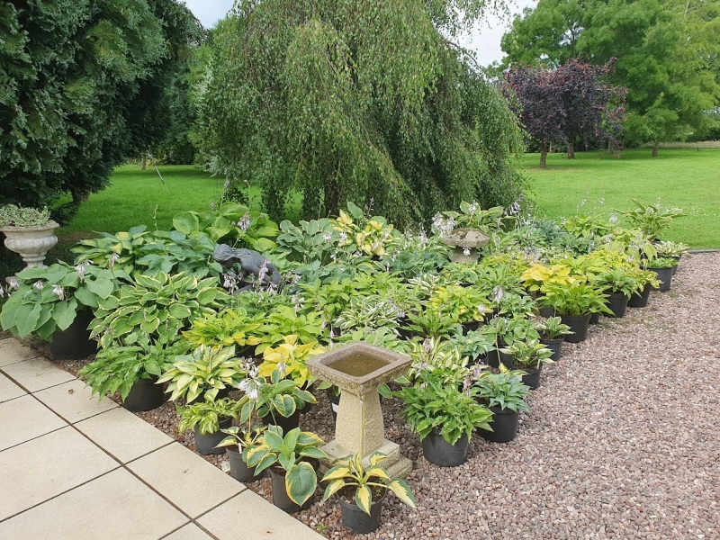 The Berringtons Farm