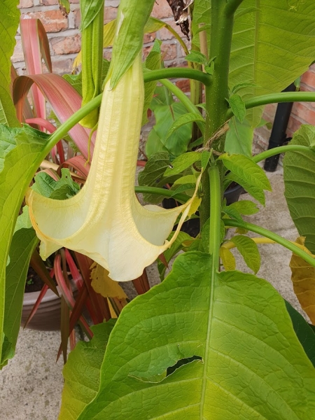 The Berringtons Farm