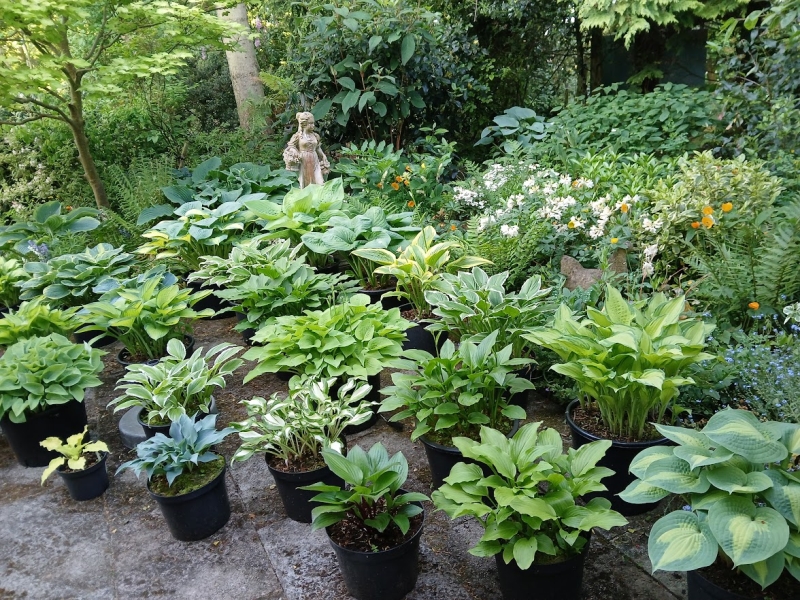 The Berringtons Farm