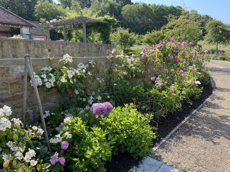 Quarry Wood Farm & Tilsmore Vineyard image