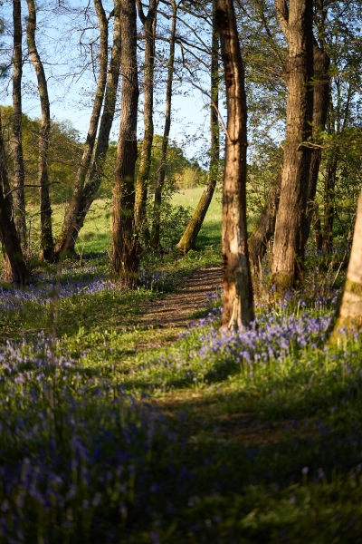 Quarry Wood Farm & Tilsmore Vineyard