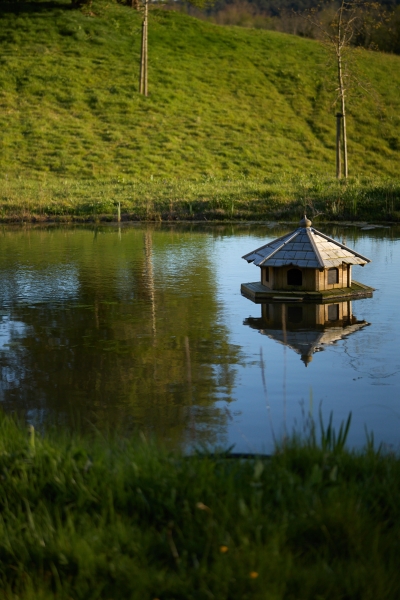 Quarry Wood Farm & Tilsmore Vineyard