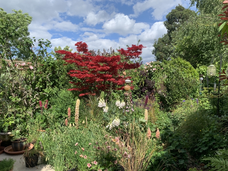 209 Friern Road image