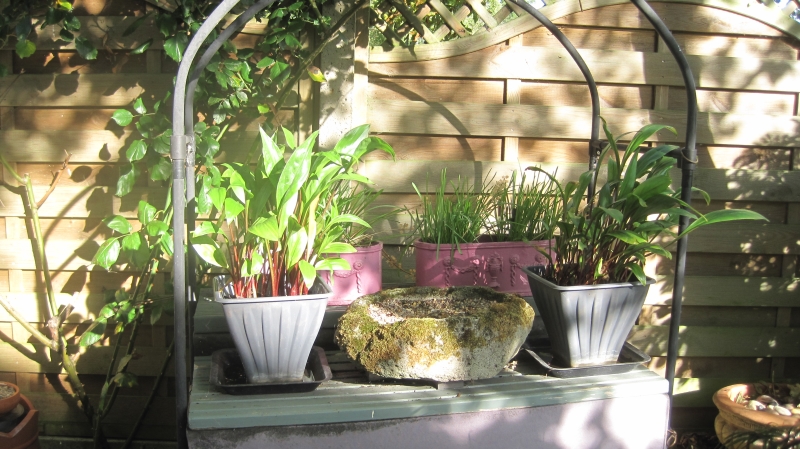 53 Strollers Way image