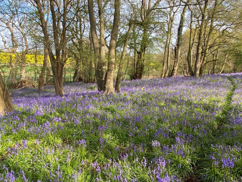 Heath Farm Barn image