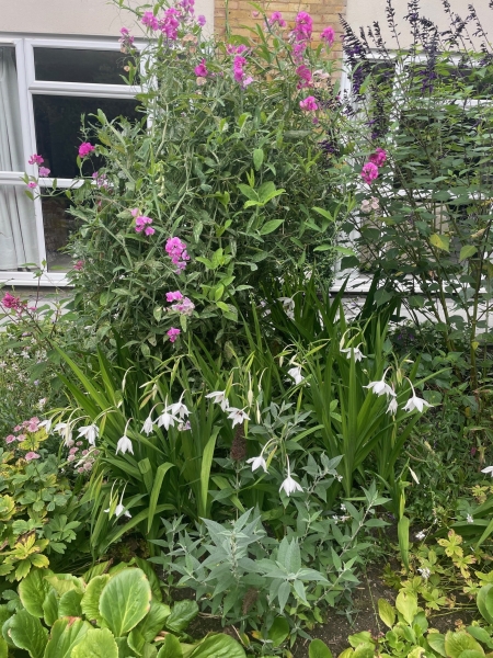 4 Rectory Croft image