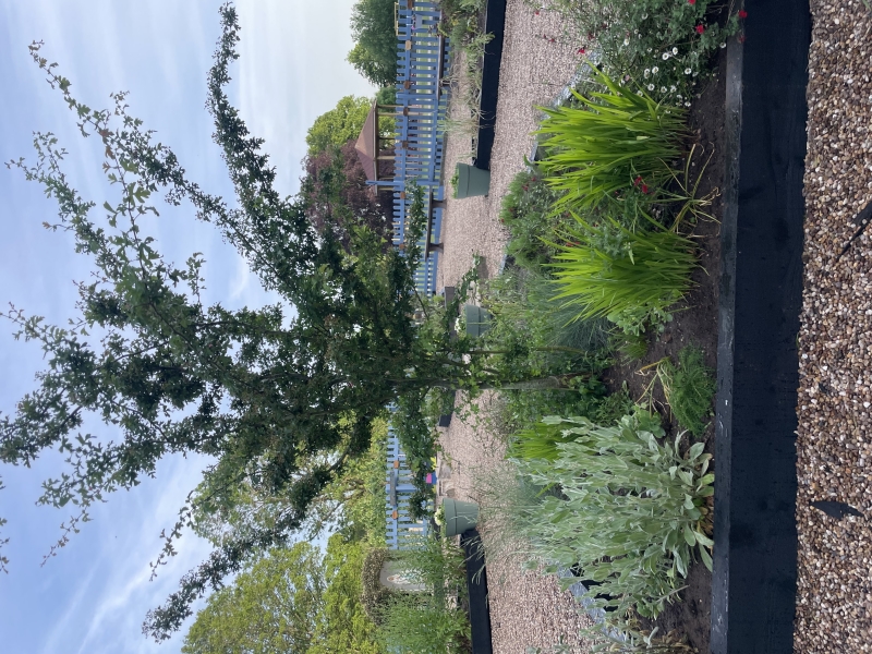 St Thomas More Catholic Primary School