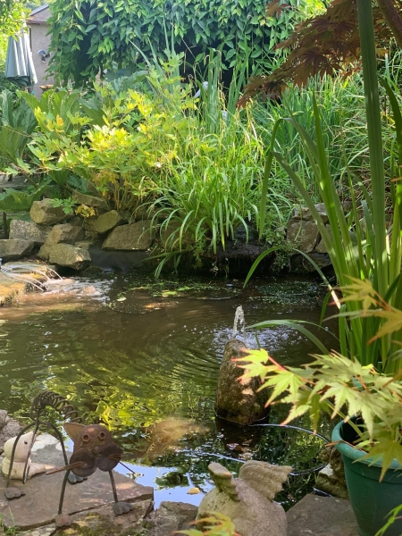 Grove Road Gardens image