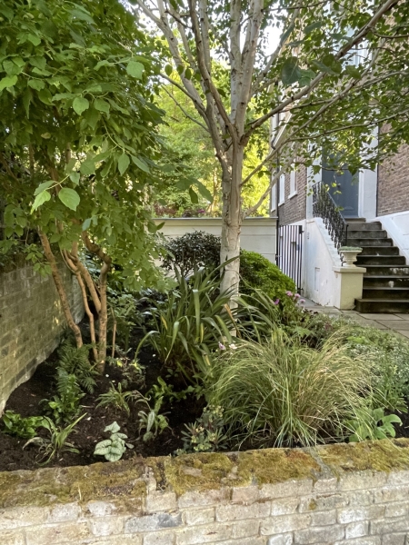 3 Alwyne Road image