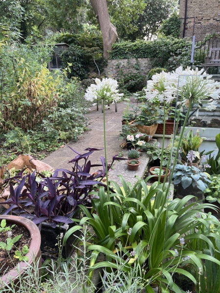 48 Canonbury Park North