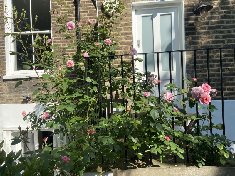 48 Canonbury Park North