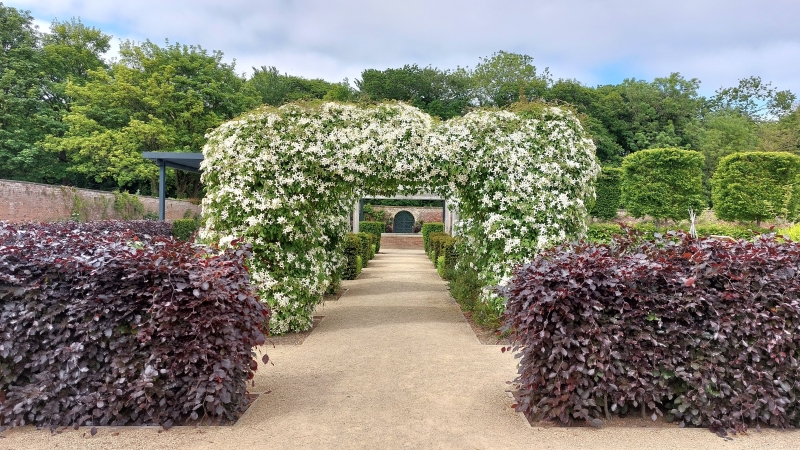 Kirkleatham Walled Garden