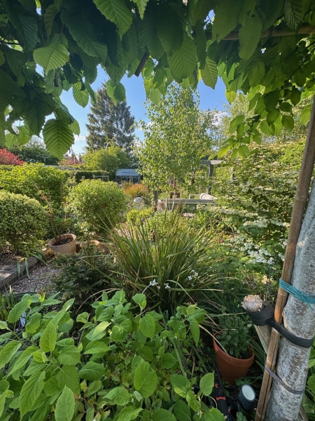 258 Maryvale Road image