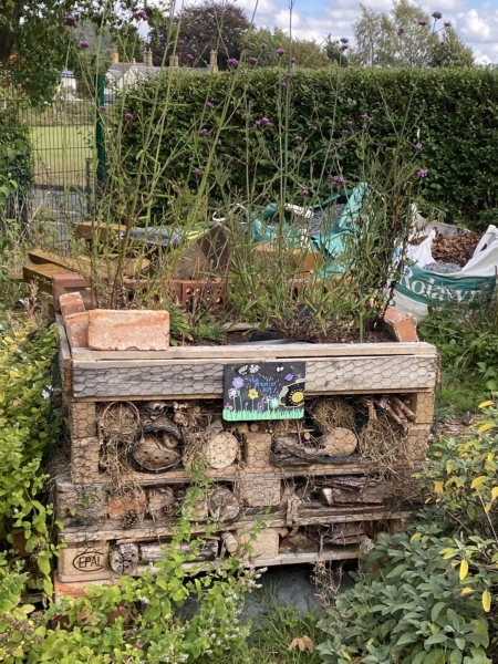 Llanfechain School Community Garden image