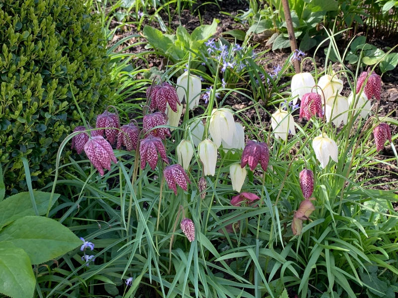 The Priest’s House