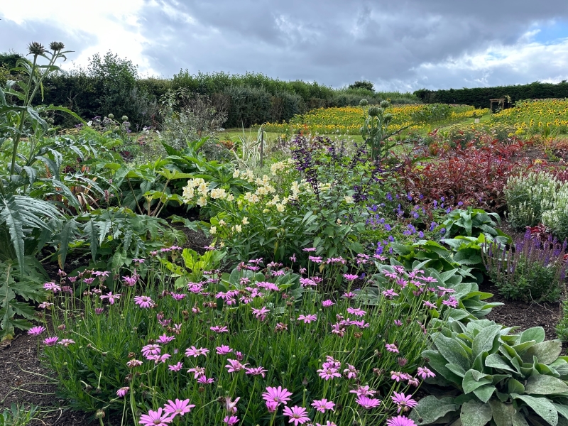 Mitchell Fruit Garden