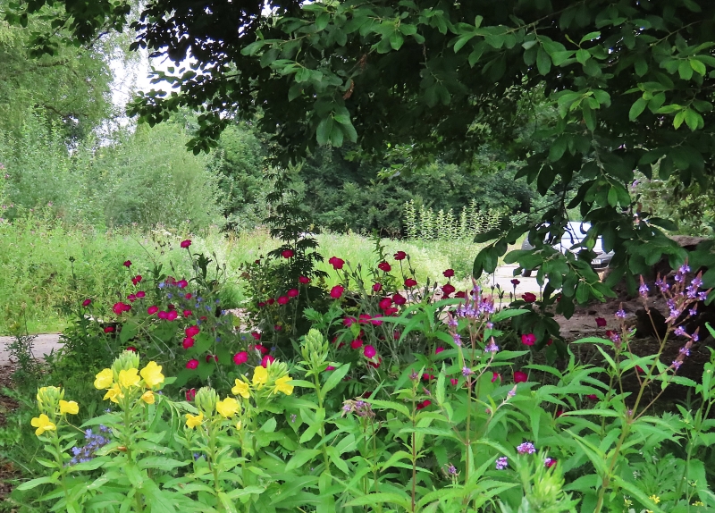 Calderstones Nature Reserve