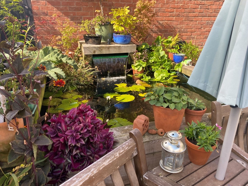 11 Hatters Way image