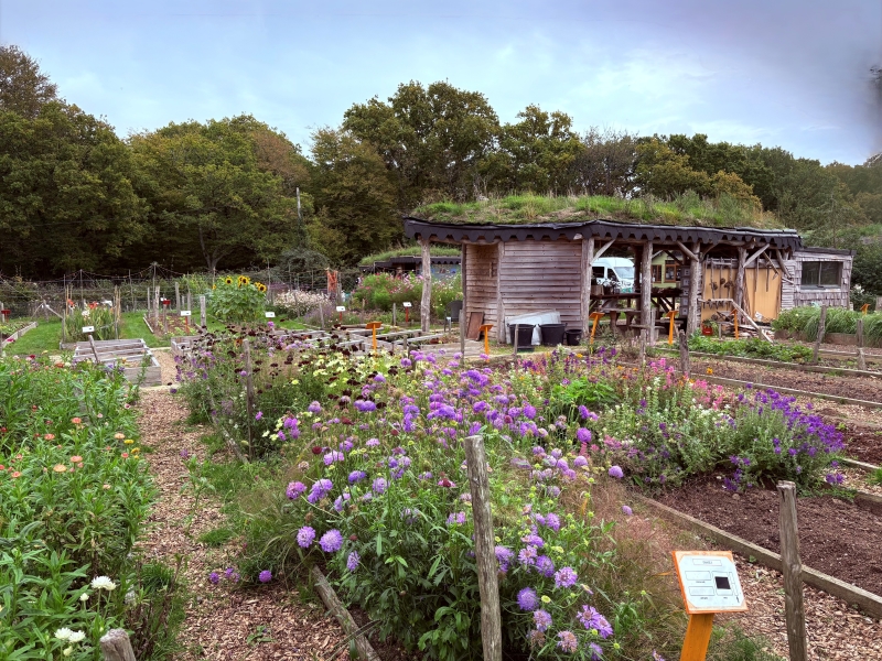 Little Gate Flowers image
