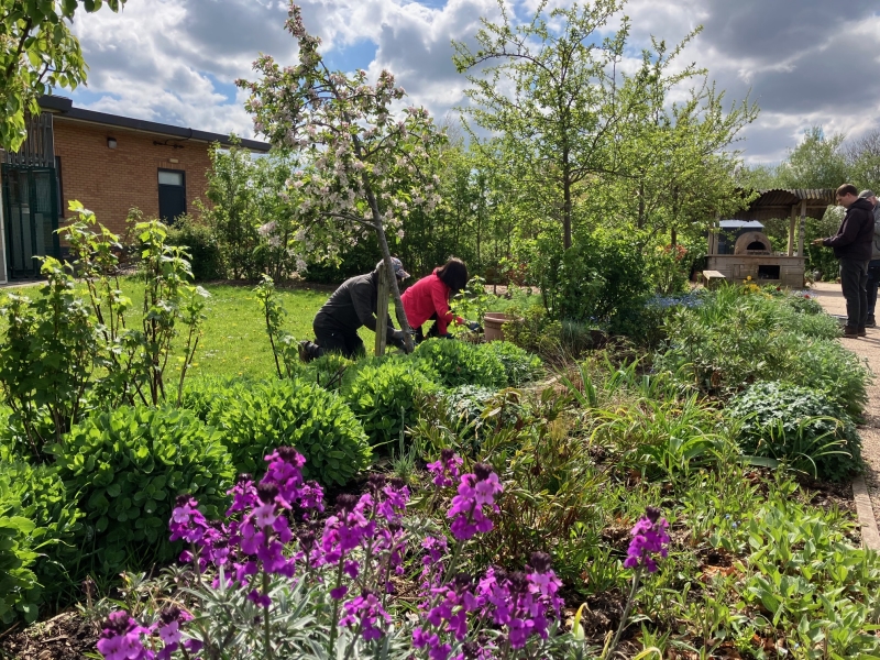 Grow Blackpool @The Grange image