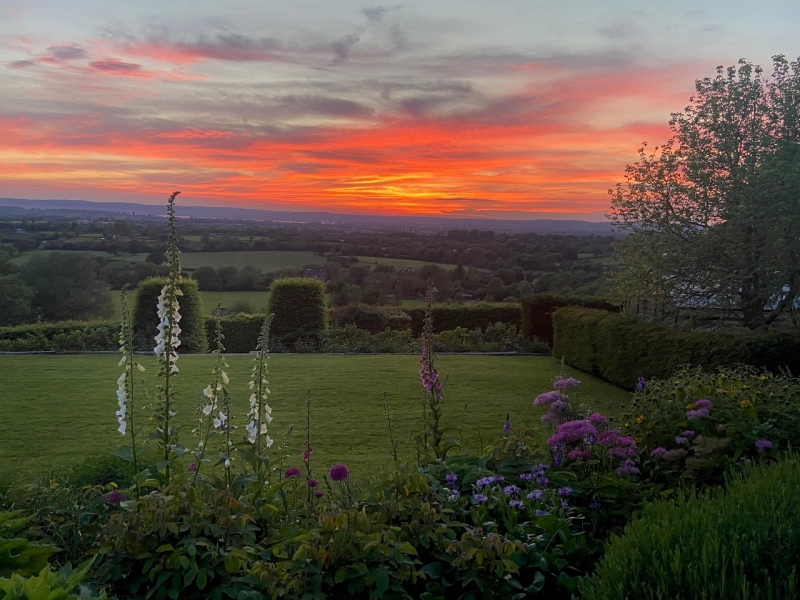Frog Lane Flower Farm & Netherfields