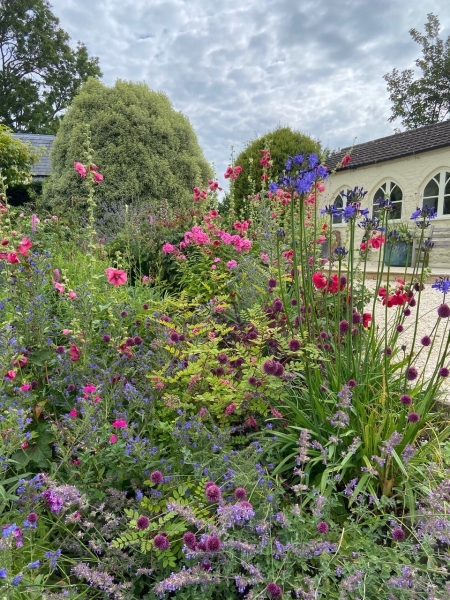 Frog Lane Flower Farm & Netherfields