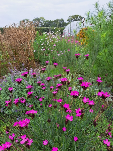 Sweet Briar Flower Farm