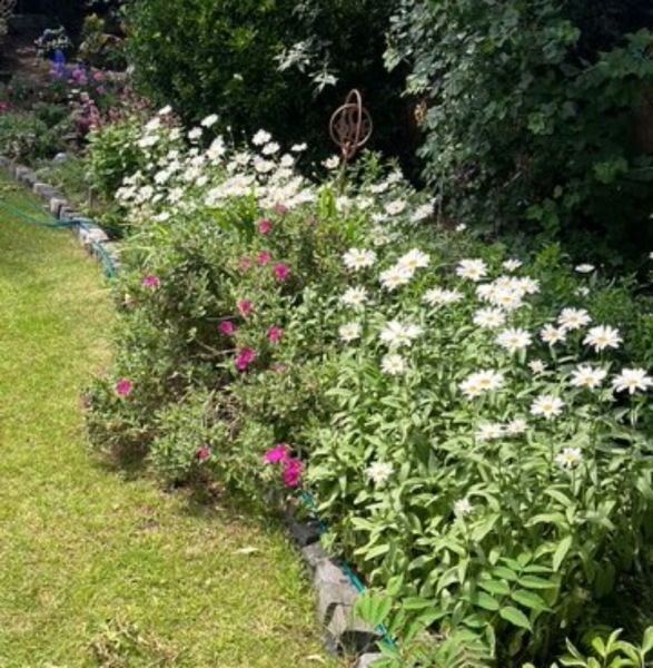 18 Scarisbrick New Road