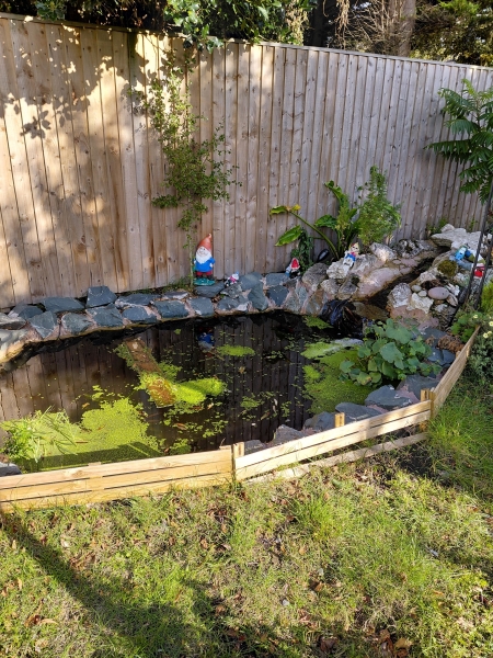 7 Pinewood Avenue image