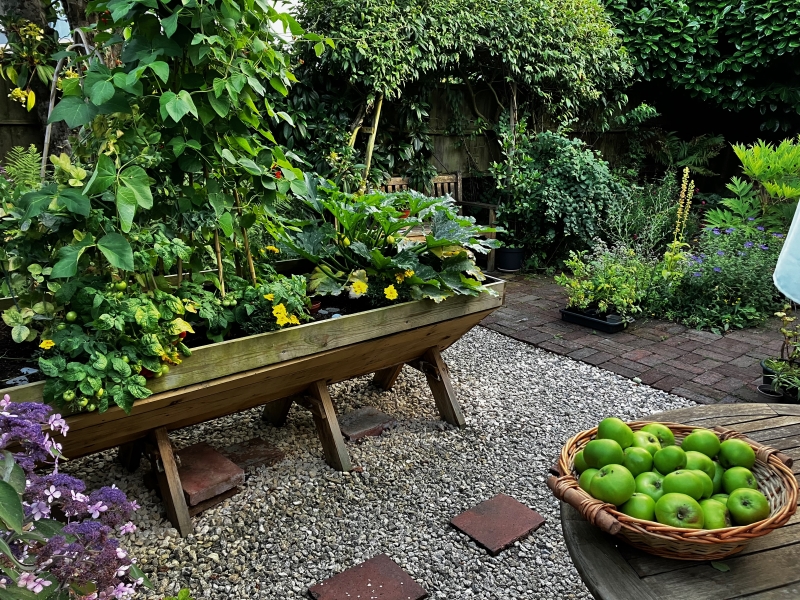 9 Codrington Road image