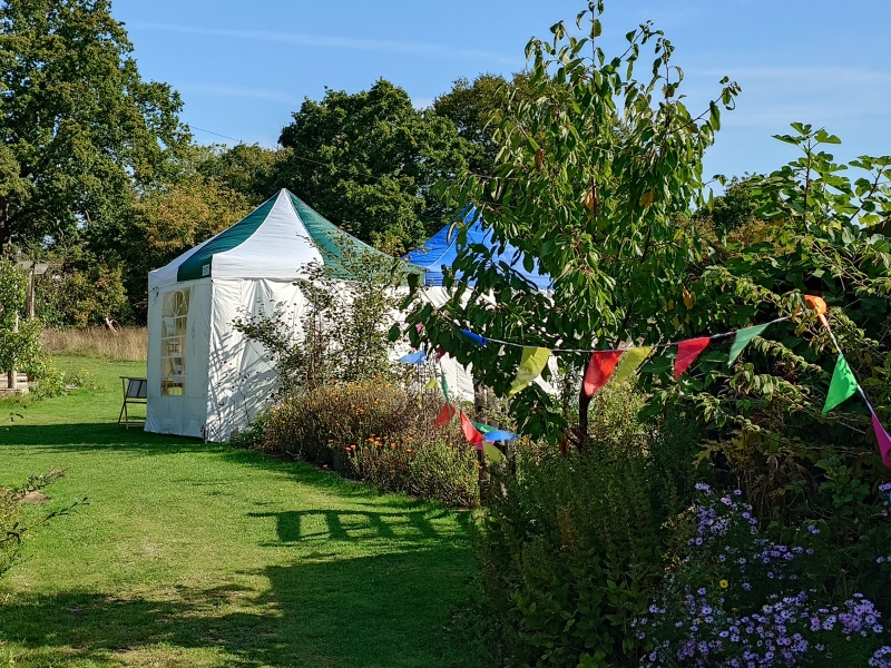 Black Shed Studios Garden