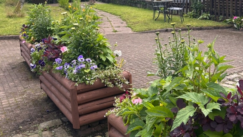 Llanwrtyd Wells Gardens