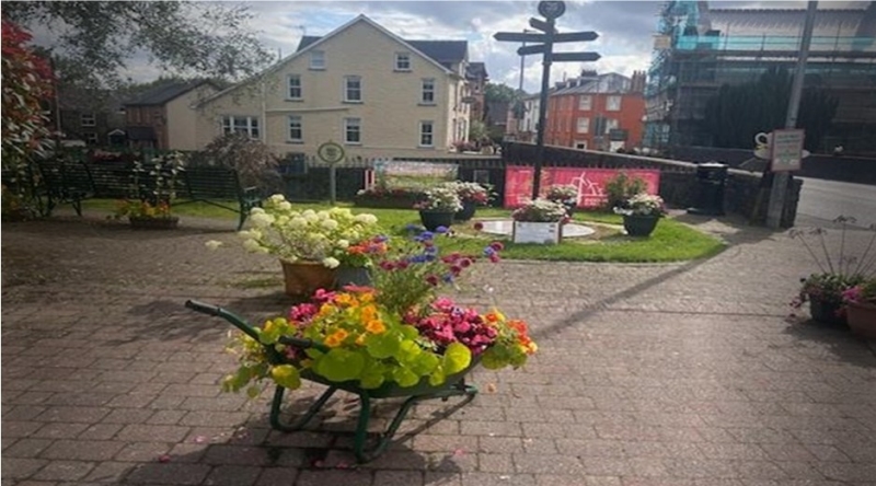 Llanwrtyd Wells Gardens