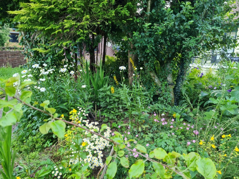 Llanwrtyd Wells Gardens